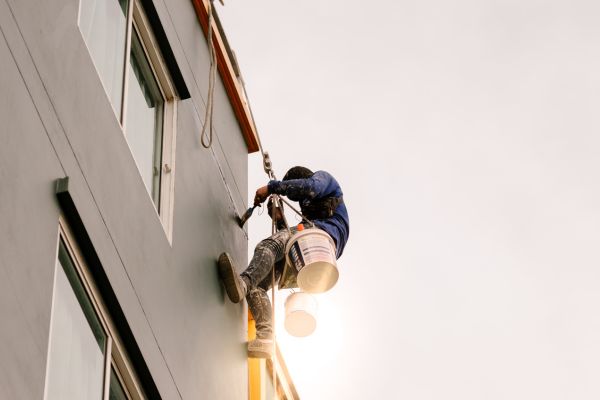 צביעת מבנים בסנפלינג